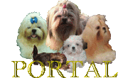 Portal